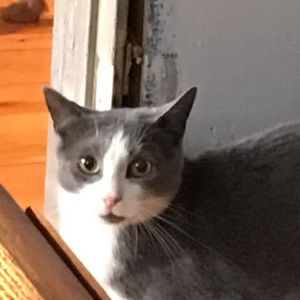 Meet your Posher, Jordan